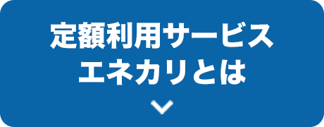 定額利用サービスエネカリとは